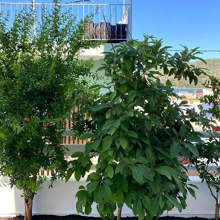Apartamento Citrus